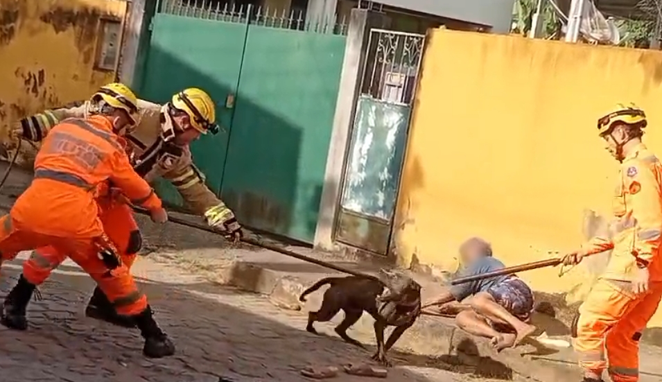 Cão ataca idosa em rua do Bandeirantes em Leopoldina
