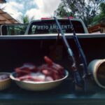 Dois são presos com espingardas e por caça de animais silvestres em Além Paraíba