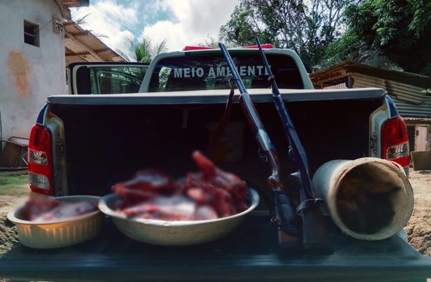 Dois são presos com espingardas e por caça de animais silvestres em Além Paraíba