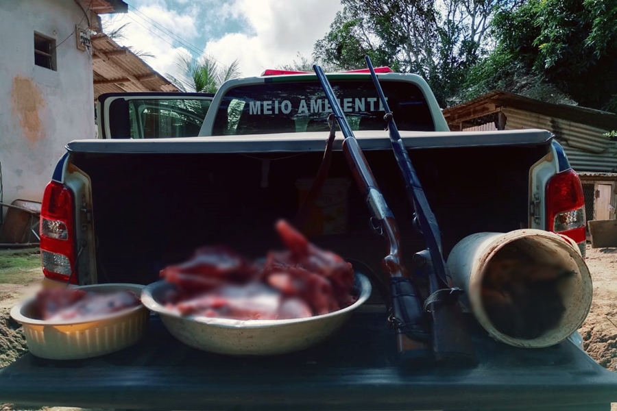 Dois são presos com espingardas e por caça de animais silvestres em Além Paraíba