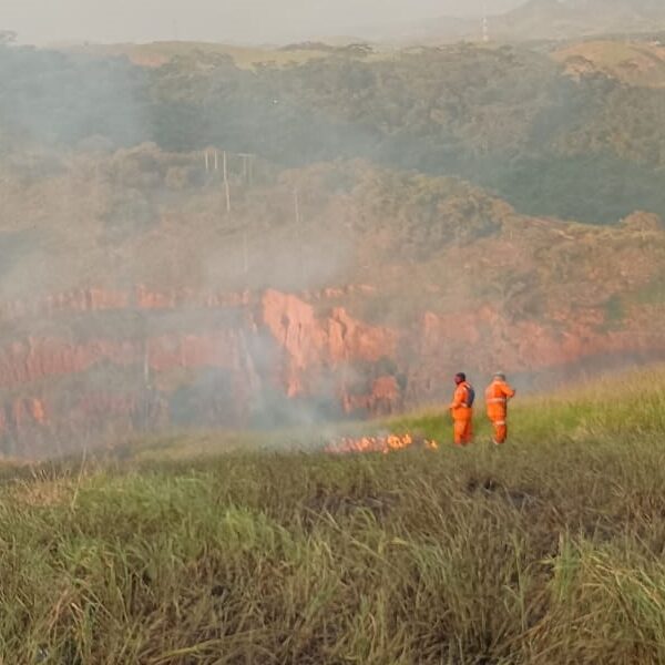 Bombeiros e Defesa Civil combatem incêndios em área de vegetação em Além Paraíba
