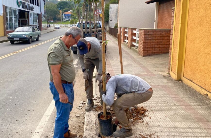 Prefeitura investe no plantio de oitis em diversos pontos de Leopoldina