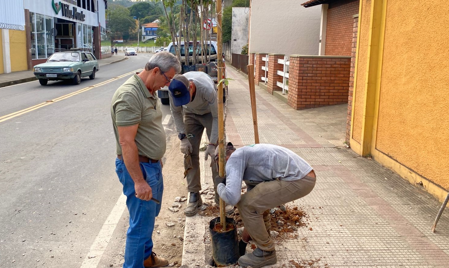 Prefeitura investe no plantio de oitis em diversos pontos de Leopoldina