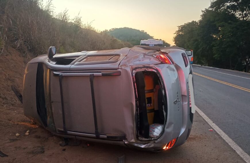 Cachorro atravessa rodovia e causa acidente na BR-116 entre Leopoldina e Além Paraíba