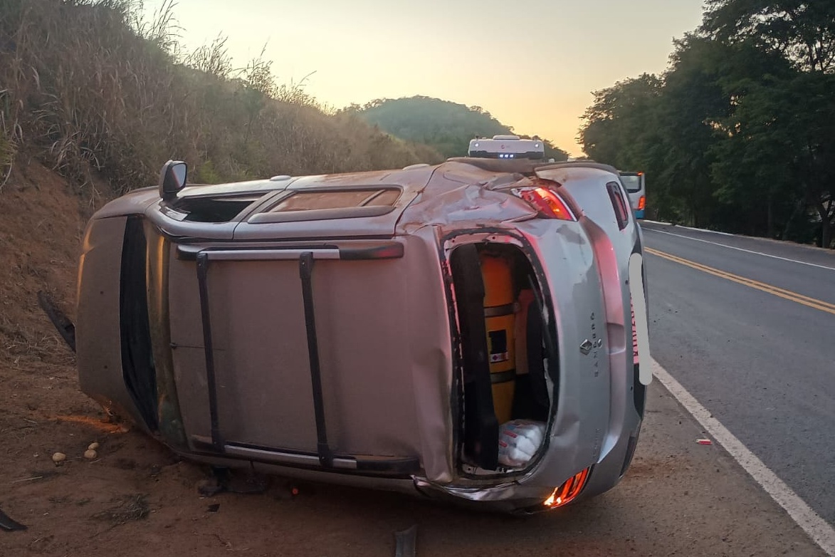 Cachorro atravessa rodovia e causa acidente na BR-116 entre Leopoldina e Além Paraíba