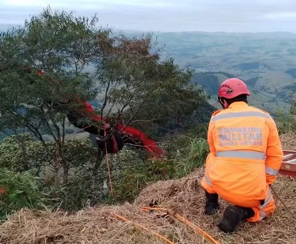 Dois homens ficam presos em árvore após decolagem de parapente em Muriaé