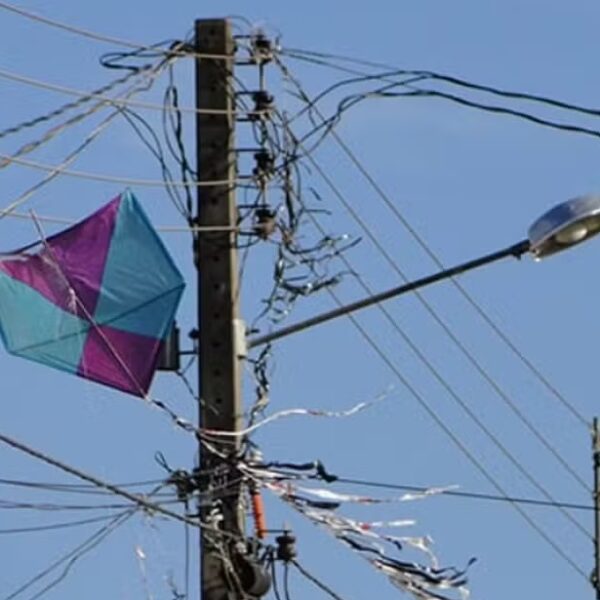 Pipas na rede elétrica afetam mais de dois mil clientes da Energisa  