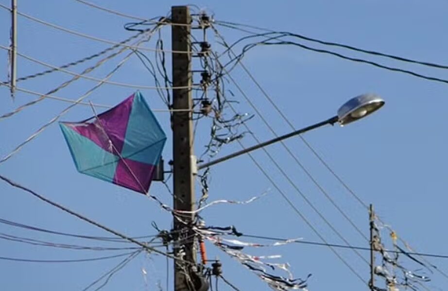 Pipas na rede elétrica afetam mais de dois mil clientes da Energisa  