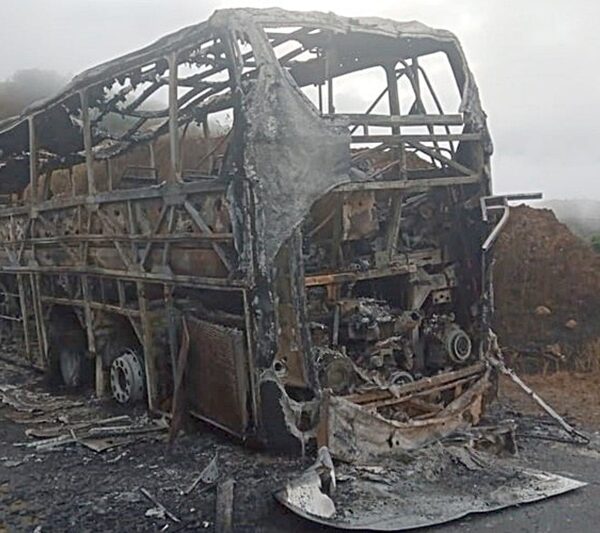 Motorista e 28 passageiros saem ilesos de incêndio que destruiu ônibus na BR-356 em Muriaé