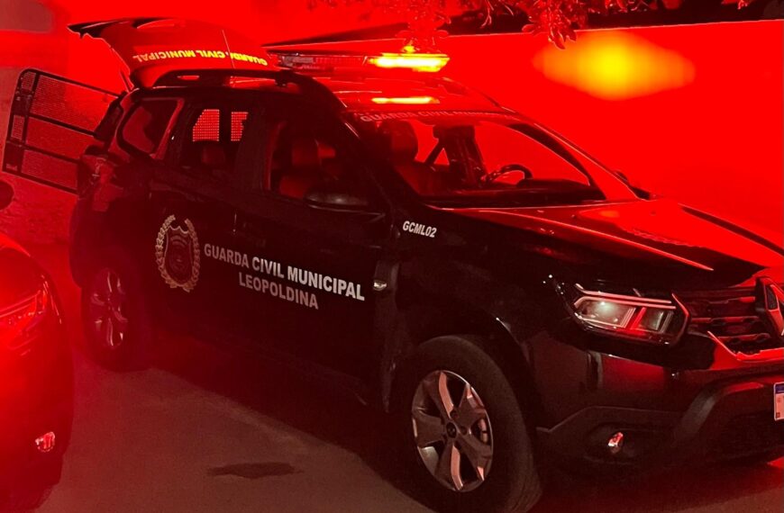 Filho usuário de drogas é preso em flagrante por ameaçar e furtar a própria mãe em Leopoldina