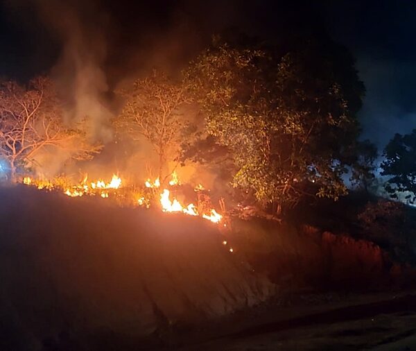 Incêndios em vegetação no Bela Vista e BR-267 mobilizam Corpo de Bombeiros de Leopoldina