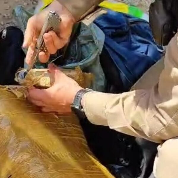 Homem é preso ao ser flagrado dentro de ônibus transportando grande quantidade de drogas para Leopoldina