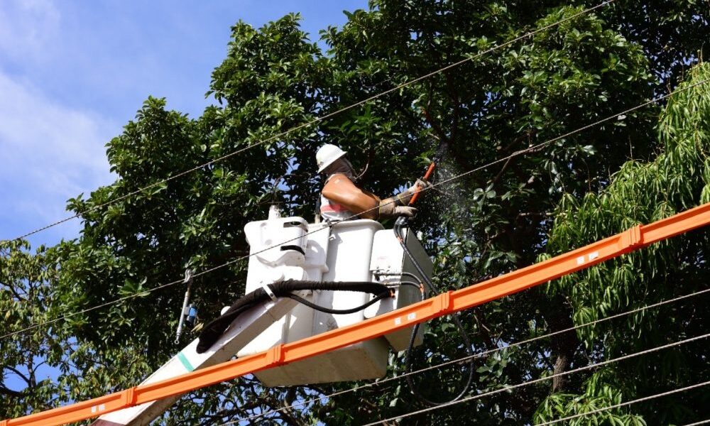 Mais de 370 mil clientes da Energisa ficaram sem energia por causa de árvores em contato com a rede elétrica 