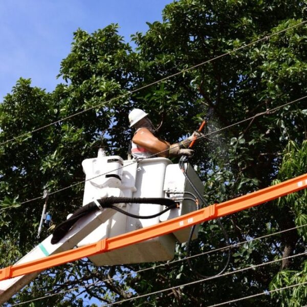 Mais de 370 mil clientes da Energisa ficaram sem energia por causa de árvores em contato com a rede elétrica 