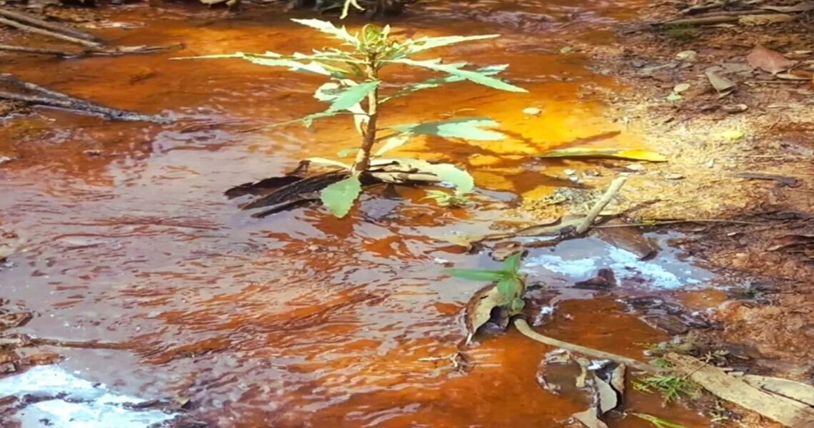 Trabalho de recuperação de nascentes em Leopoldina beneficia produtores rurais da microbacia do Pirapetinga