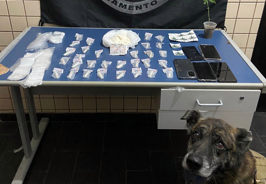 Operação da Polícia Militar prende 4 pessoas e apreende drogas no Bela Vista em Leopoldina