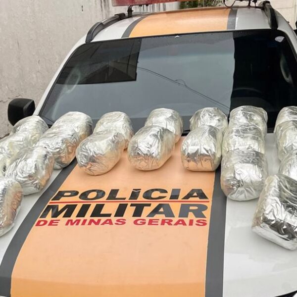 Mulher de 23 anos é presa com 15 kg de skunk na BR-267 em Leopoldina