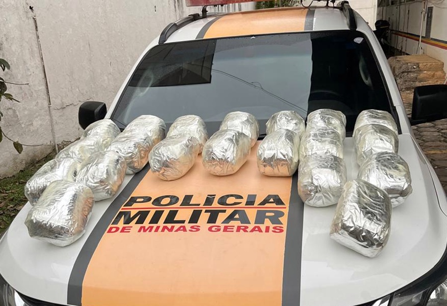 Mulher de 23 anos é presa com 15 kg de skunk na BR-267 em Leopoldina