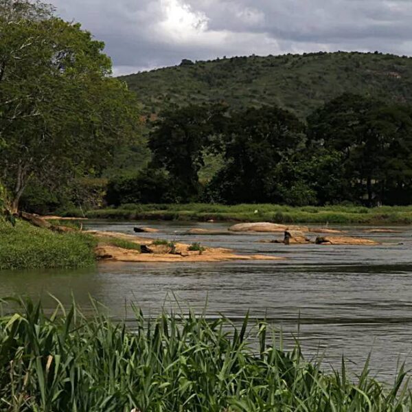Oficina em Leopoldina vai alinhar ações de Educação Ambiental ao Plano de Recursos Hídricos do CBH Pomba e Muriaé