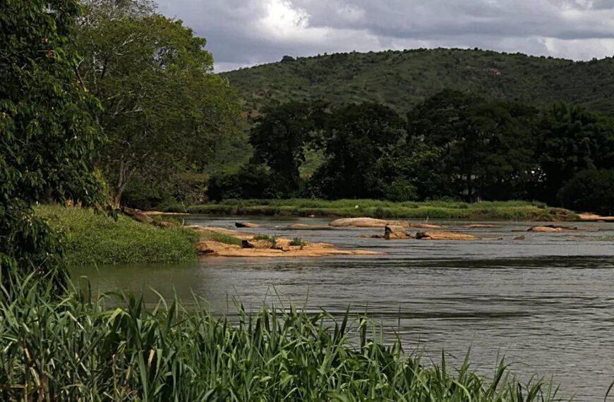 Oficina em Leopoldina vai alinhar ações de Educação Ambiental ao Plano de Recursos Hídricos do CBH Pomba e Muriaé