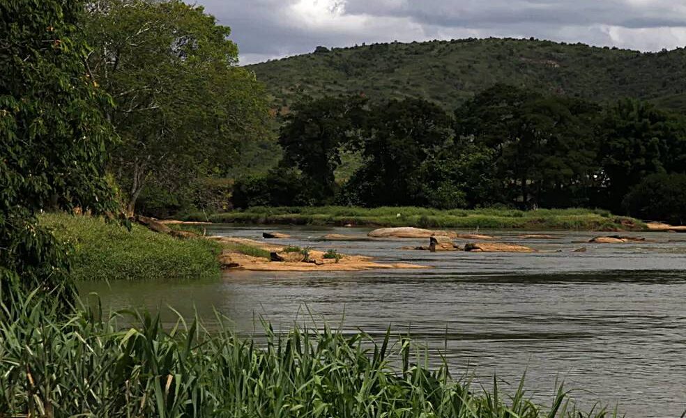 Oficina em Leopoldina vai alinhar ações de Educação Ambiental ao Plano de Recursos Hídricos do CBH Pomba e Muriaé