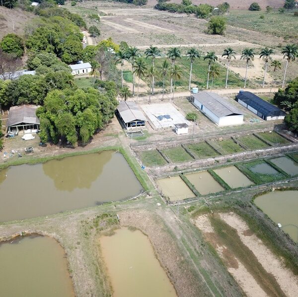 Epamig em Leopoldina promove 7º Encontro Tecnológico no Vale do Rio Pomba