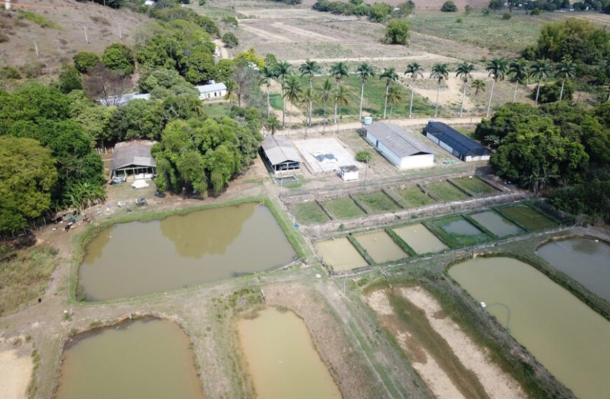 Epamig em Leopoldina promove 7º Encontro Tecnológico no Vale do Rio Pomba