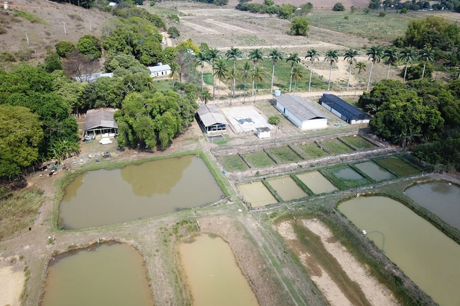 Epamig em Leopoldina promove 7º Encontro Tecnológico no Vale do Rio Pomba