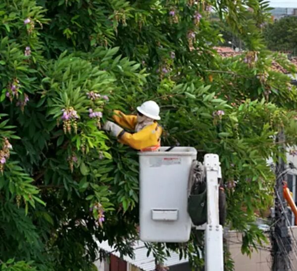 Mais de 400 mil clientes de toda área de concessão da Energisa ficaram sem energia devido a galhos na rede elétrica 