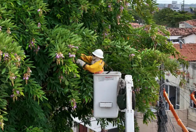 Mais de 400 mil clientes de toda área de concessão da Energisa ficaram sem energia devido a galhos na rede elétrica 