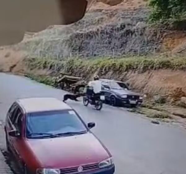 Motociclista é surpreendido por cachorro, cai da moto e morre em Miraí