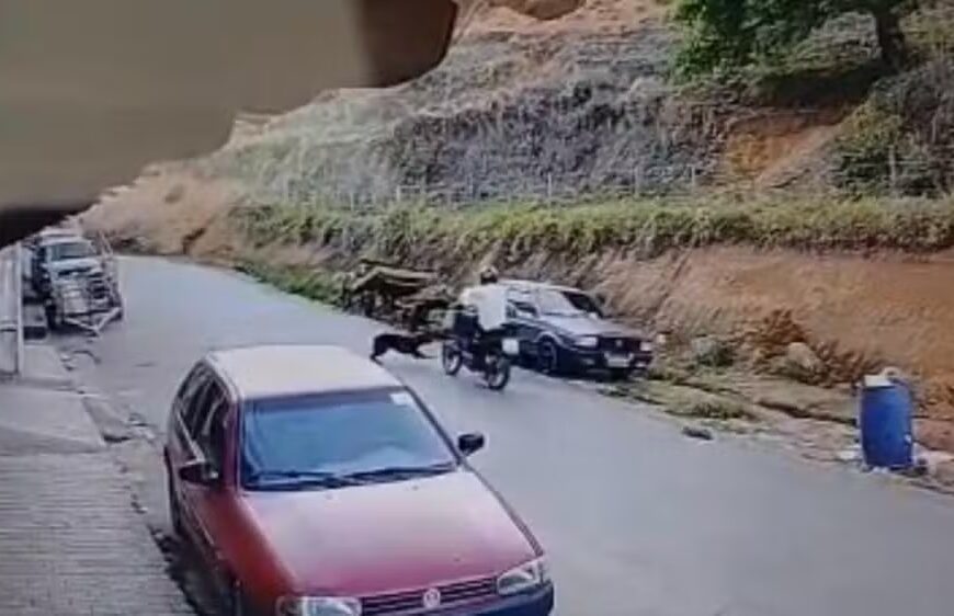 Motociclista é surpreendido por cachorro, cai da moto e morre em Miraí