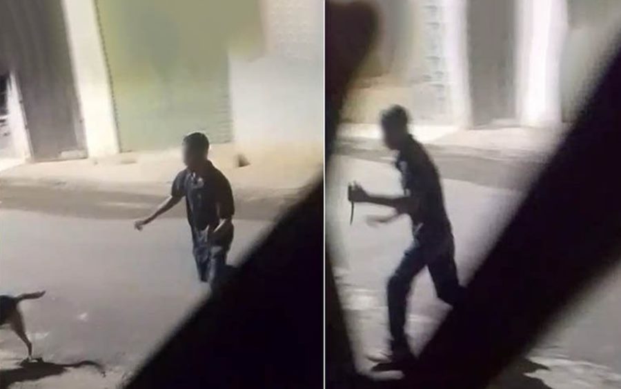 Motociclista é preso após esfaquear cachorro em Miraí