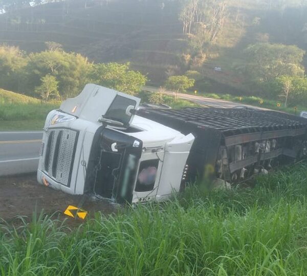 Carreta carregada com 72 cabeças de gado tomba na região da Bica d’Água em Leopoldina