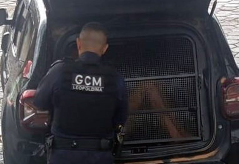 Gestante é ameaçada por familiar e autor acaba preso pela GCM em Leopoldina