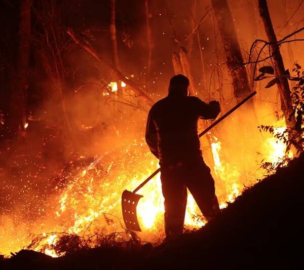 Bombeiros encaram média de 160 incêndios em vegetação a cada dia em Minas