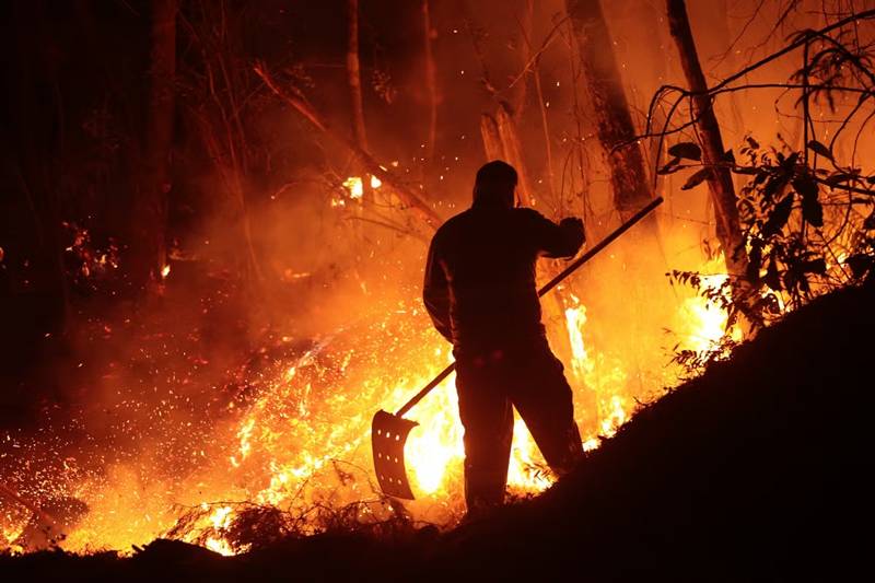 Bombeiros encaram média de 160 incêndios em vegetação a cada dia em Minas