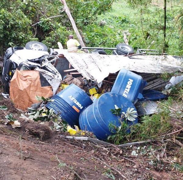 Caminhão tomba na MG-353 e deixa uma vítima fatal em Coronel Pacheco