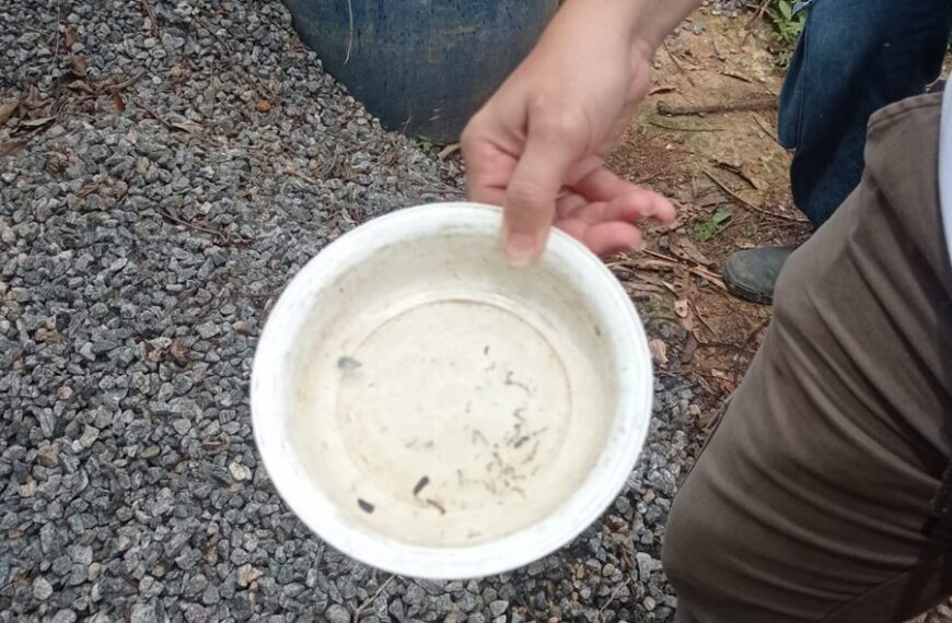 Levantamento aponta alerta de médio risco para o Aedes aegypti em Leopoldina