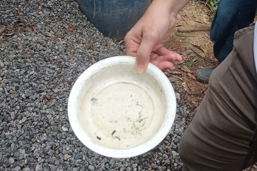 Levantamento aponta alerta de médio risco para o Aedes aegypti em Leopoldina