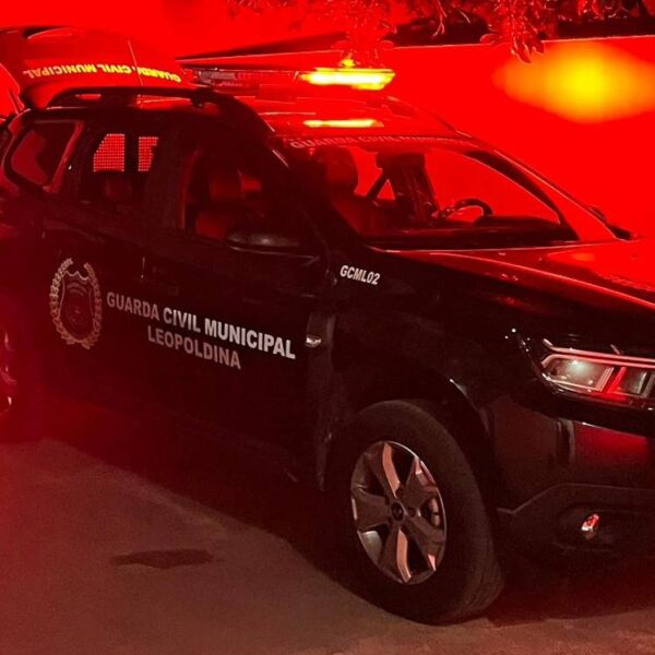 Filho é preso após ameaçar a mãe, destruir residência e tentar fugir em Leopoldina