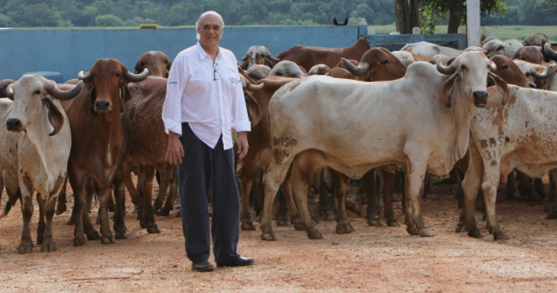 Fazendas do Basa em Leopoldina se destacam entre as maiores do país em produção de vacas acima de 50 kg de leite por dia