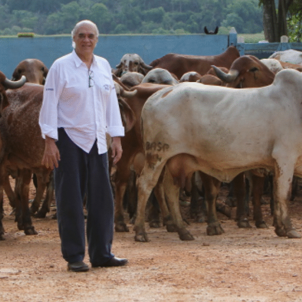 Fazendas do Basa em Leopoldina se destacam entre as maiores do país em produção de vacas acima de 50 kg de leite por dia