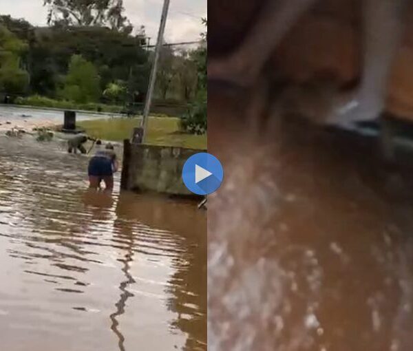 Família vive drama após casa ser alagada por problema em bueiros na Avenida Jehu Faria em Leopoldina