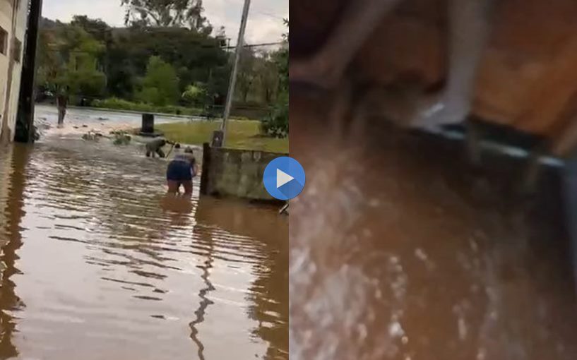 Família vive drama após casa ser alagada por problema em bueiros na Avenida Jehu Faria em Leopoldina