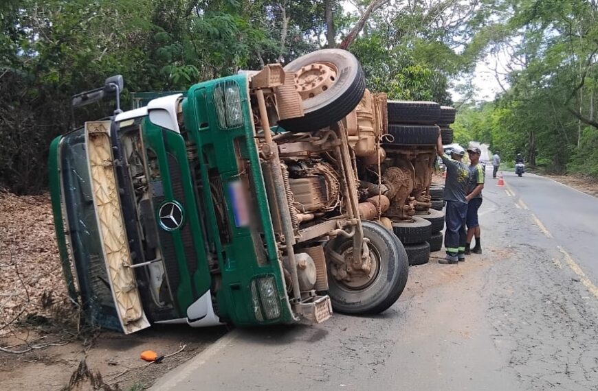 Carreta carregada com cavaco de madeira tomba na MG-120 entre Leopoldina e Cataguases