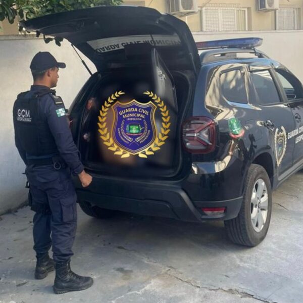 Homem é preso após espancar e torcer o braço da própria mãe no Bela Vista em Leopoldina