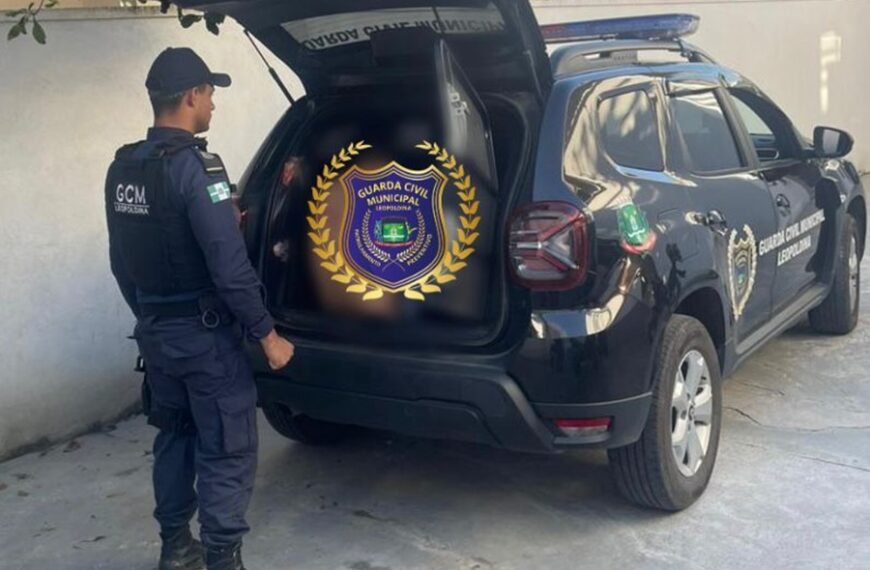 Homem é preso após espancar e torcer o braço da própria mãe no Bela Vista em Leopoldina