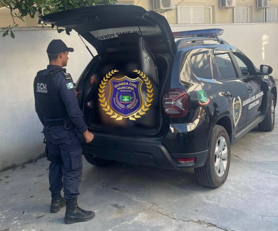 Homem é preso após espancar e torcer o braço da própria mãe no Bela Vista em Leopoldina