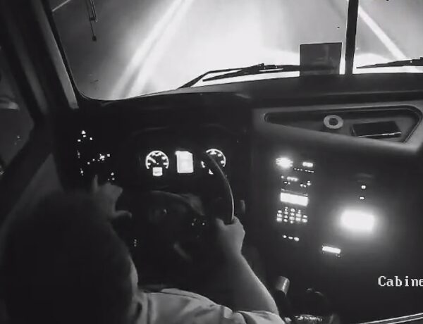 Vídeo registra momento em que animal invade a pista e é atropelado por ônibus na BR-116 em Leopoldina